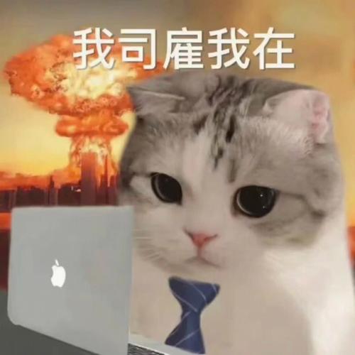 雇猫看店你见过吗？《画江山》摆摊居然这么方便
